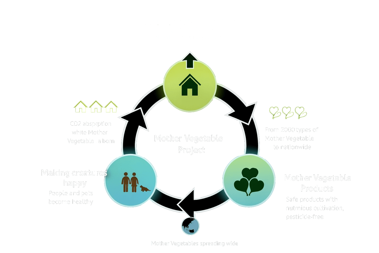 Project Overview